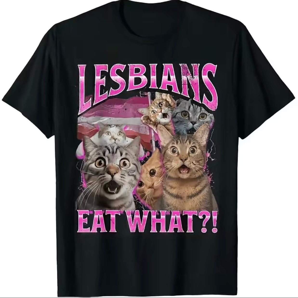 Lesbians Eat What T-Shirt/Sweatshirt/Hoodie
