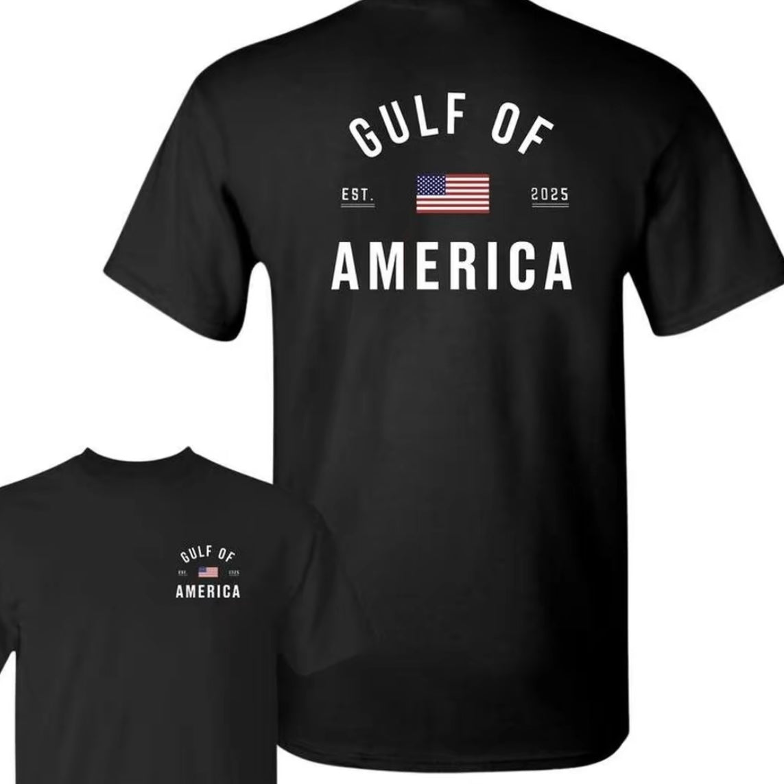 Gulf of America EST. 2025 T-Shirt/Sweatshirt/Hoodie