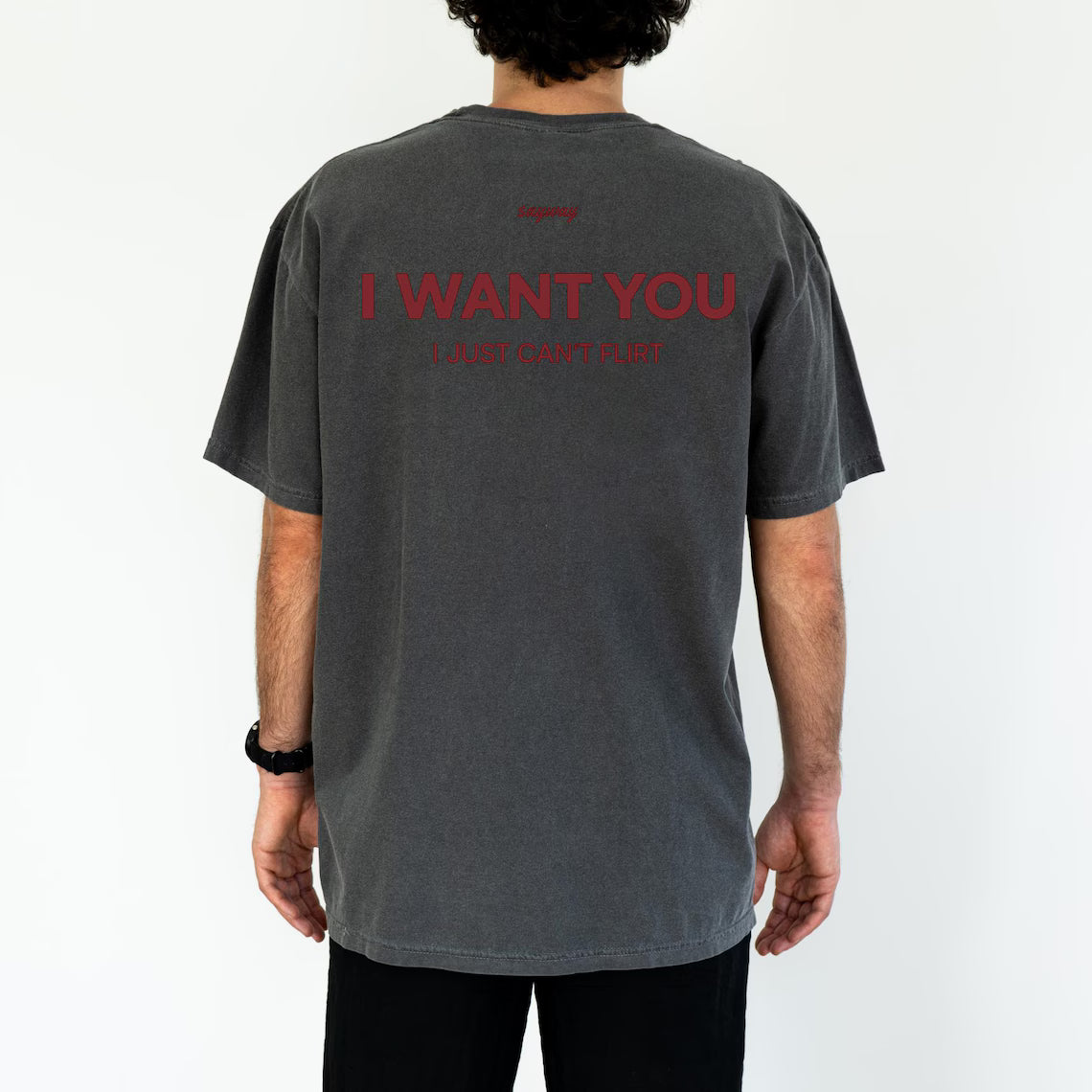 I Want You I Just Can’t Flirt T-Shirt/Sweatshirt/Hoodie