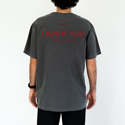 I Want You I Just Can’t Flirt T-Shirt/Sweatshirt/Hoodie